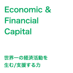 Economic & Financial Capital