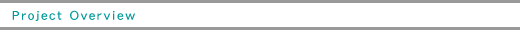 Project Overview