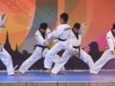 Taekwondo demonstration by the Korean Cultural Center