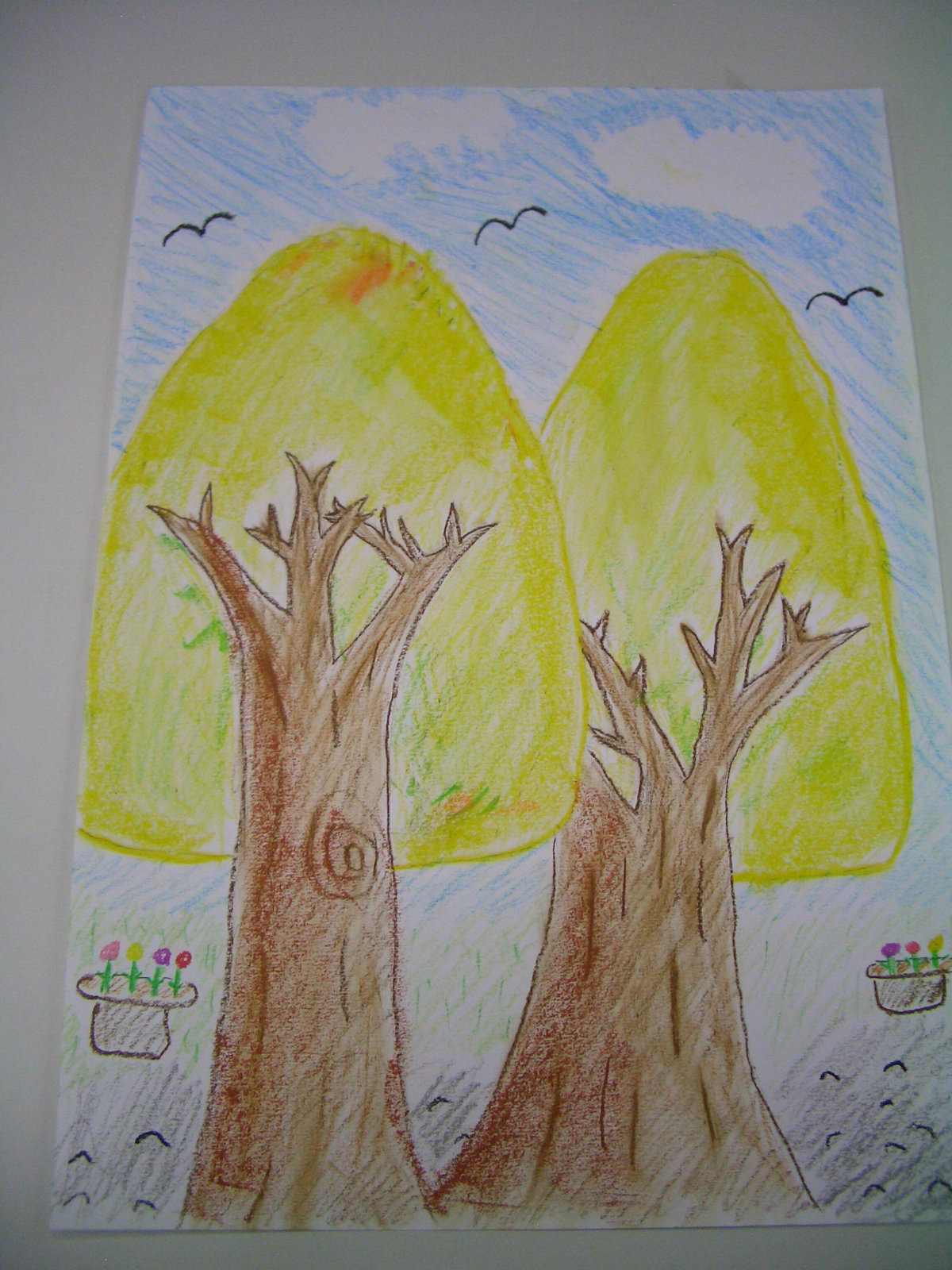 picture