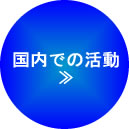 国内での活動